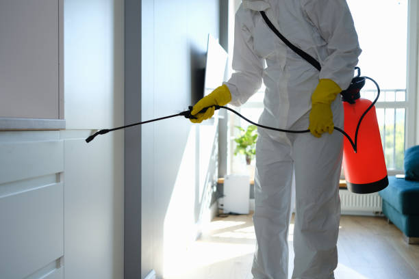 Best Residential Mold Removal  in Glencoe, AL
