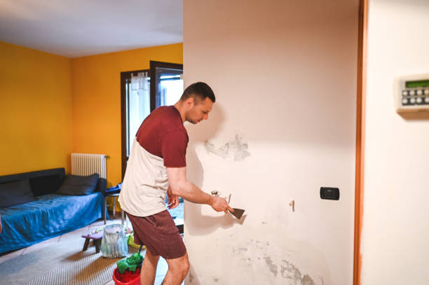 Best Mold Inspection  in Glencoe, AL